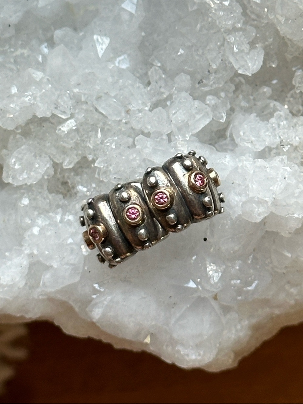 Pandora Fusion Clip